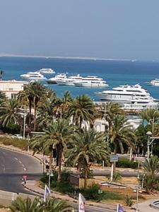 eine Straße mit Palmen und Booten im Wasser in der Unterkunft Aldau Heights in Hurghada