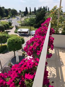 Zahrada ubytování Apart-Hotel la Rocchetta