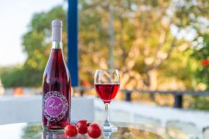 Gallery image of Villa Frakosykia in Pollonia +34 photos