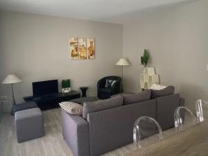 a living room with a couch and a tv at Vue sur Cité - SPA in Carcassonne