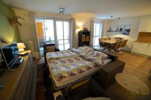 TV a/nebo společenská místnost v ubytování Appartement Am Postwiesen