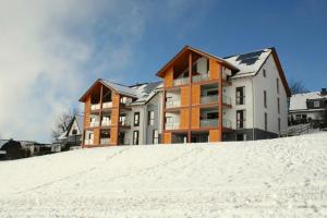 Appartement Am Postwiesen v zimě