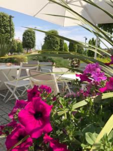 Zahrada ubytování Apart-Hotel la Rocchetta
