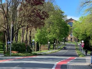 an empty street with trees and a building in the background at Apartment am Festspielpark in Bayreuth