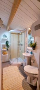 a bathroom with a shower and a toilet and a sink at Namiņš pie jūras. in Saulkrasti