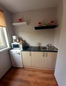 una pequeña cocina con fregadero y microondas en Estonia pst 26, en Kohtla-Järve