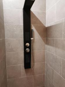 a shower with a black shower head in a bathroom at Surrender three bedrooms in Aan de Wolfsberg