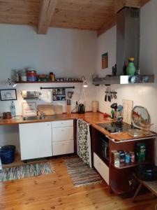 uma cozinha com um lavatório e uma bancada em Wakacje Wigry em Krusznik