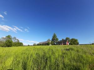 Phong cảnh thiên nhiên gần nhà nghỉ dưỡng +54 ảnh