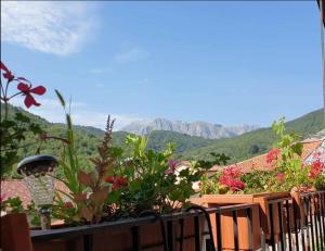 a balcony with flowers and a view of mountains at Affittacamere Coletti in Roggio