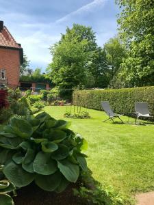 einen Garten mit zwei Stühlen und einer Hecke in der Unterkunft Haus Luisenhof in Mölln