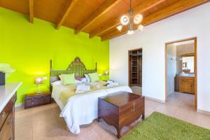 - une chambre dotée d'un lit avec un mur vert dans l'établissement Can Grau, à Sencelles 49 autres photos