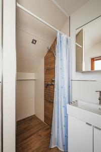 uma casa de banho com um chuveiro e um lavatório. em Rhönpanorama em Hilders