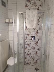 ein Bad mit Dusche, WC und Wand in der Unterkunft Gasthaus Blunzenwirt in Breitenstein