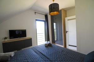 Televízia a/alebo spoločenská miestnosť v ubytovaní Apartament Lawendowy