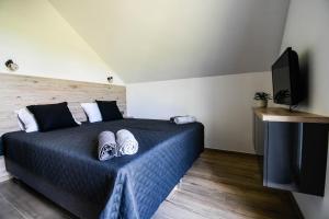 Televízia a/alebo spoločenská miestnosť v ubytovaní Apartament Lawendowy