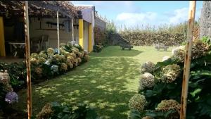 En have udenfor Mosteiros Sea House