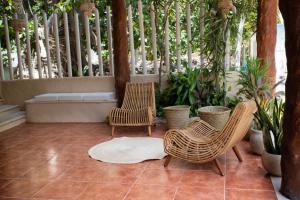 Zahrada ubytování Hotel Macondo Holbox
