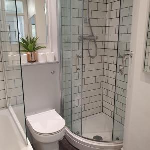 a bathroom with a toilet and a shower at Bright 2 Bedroom Flat in Lambeth With Balcony in London