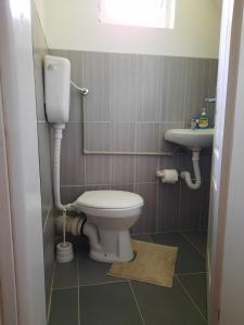 a bathroom with a toilet and a sink at Village House Aleksic in Pošćenje