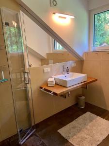 a bathroom with a sink and a shower at Haus Gnigl in Salzburg