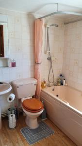 a bathroom with a toilet and a tub and a sink at Huntersfield Chalet in Faringdon