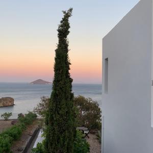 une paire d'arbres se tenant à côté de l'océan dans l'établissement PATMOS Confidential, à Patmos