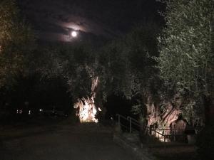 Fotografia z galérie ubytovania Villaggio RTA Borgoverde v destinácii Imperia