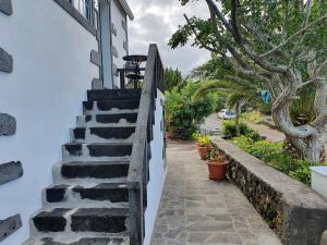 una escalera que conduce a una casa con árboles en Casa do Gato Preto en Santo Amaro