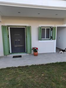 a dog walking in front of a house with green shutters at Lefkada Town Apartment in Lefkada Town