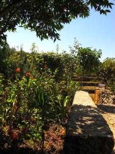 un jardín con un ramo de flores y escaleras en Casa das Lapas, en Soajo