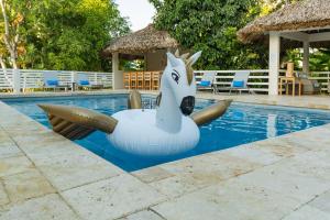 Piscina a Blue Paloma Bed & Breakfast o a prop