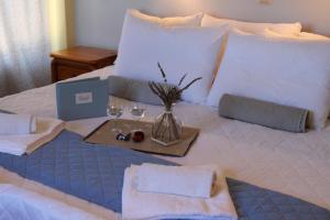 Afbeelding uit fotogalerij van Studios Penelope in Kokkari