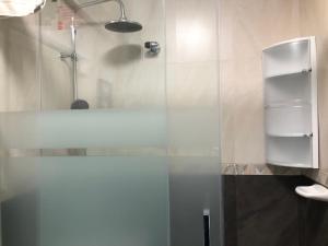 eine Dusche mit Glastür im Badezimmer in der Unterkunft APARTAMENTO MEXICO 6 (VIGO CENTRO) in Vigo