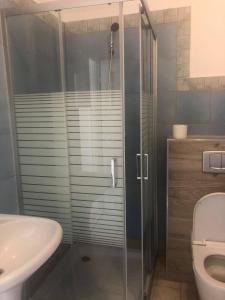 a bathroom with a shower and a toilet and a sink at Ostrowianka in Ostrowo +39 photos