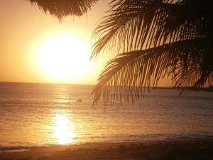 a sunset on the beach with a palm tree at Keur Karim sarr in Mbour