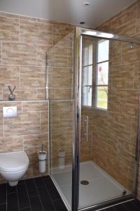 a bathroom with a shower with a toilet and a sink at Les Rougemonts Eucalyptus in Champguyon