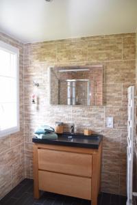 a bathroom with a sink and a mirror at Les Rougemonts Eucalyptus in Champguyon