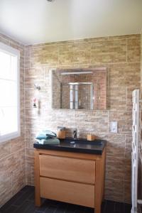 ein Bad mit einem Waschbecken und einem Spiegel in der Unterkunft Les Rougemonts Eucalyptus in Champguyon