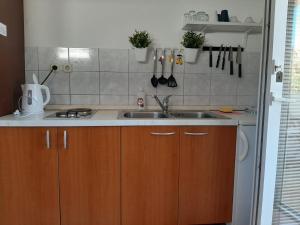 Küche/Küchenzeile in der Unterkunft Apartments Burcul Pag