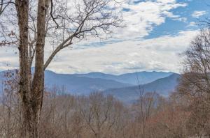 a view of a mountain range with a tree at Lanfyne Ayr in Waynesville