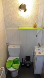 a small bathroom with a toilet with a green lid at Zum-Seehörnchen Haus Fuchs in Tanna