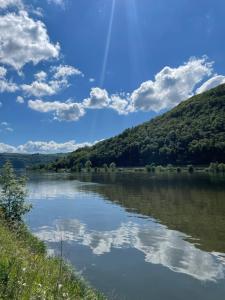 uma vista para um rio com nuvens no céu em Altes Weingut Bröhl em Hatzenport