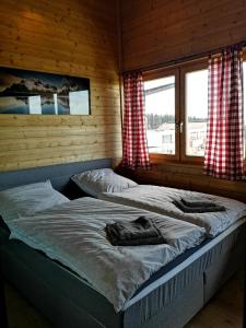 two twin beds in a room with two windows at PENTHOUSE Appartement Bergliebe Sankt Englmar in Sankt Englmar