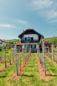 a house in a vineyard with a row of vines at Zidanica Bahor in Črnomelj