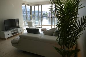 uma sala de estar com um sofá e uma planta em Little Venice Self Catering em Bellville