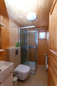 a bathroom with a shower and a toilet and a sink at Cosy cottage-Golden circle in Kerhraun