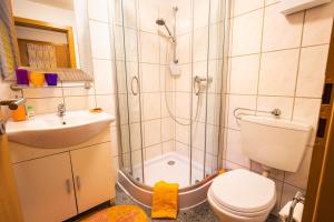 a bathroom with a shower and a toilet and a sink at Erholungskellerchen nahe Therme, See & Klinik in Bad Lippspringe