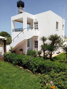 A garden outside Marina Villa