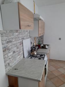 Kuchyňa alebo kuchynka v ubytovaní Raczkowska Apartament